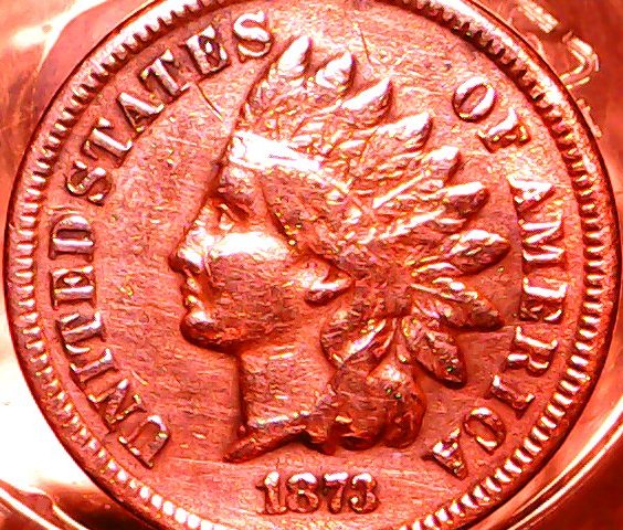 Sorry-But-Did-You-Say-You-Cleaned-My-Coin.